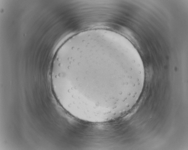 X0000068320814200605192031