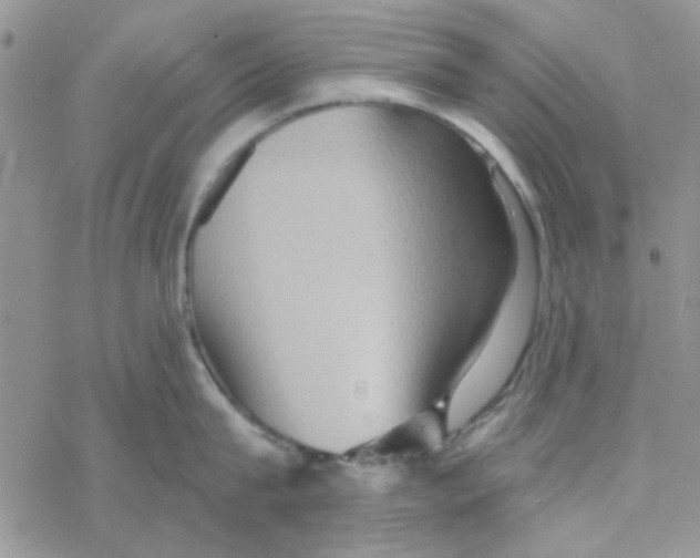 X0000068320815200605192031