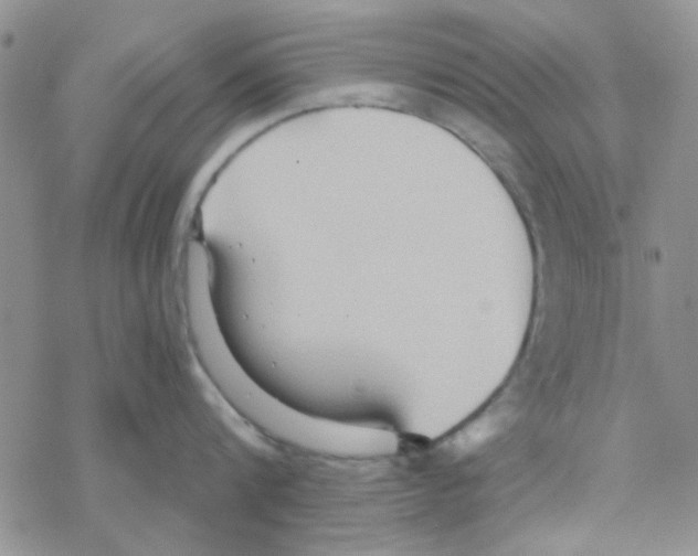 X0000068320816200605192031