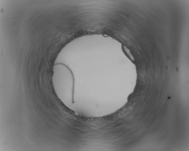 X0000068320817200605192031