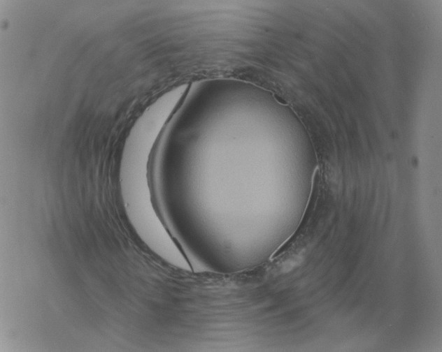 X0000068320818200605192031