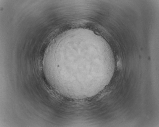 X0000068320819200605192031