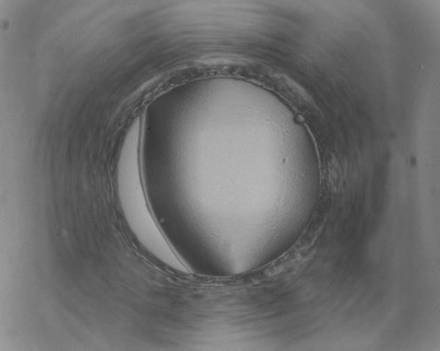 X0000068320821200605192031