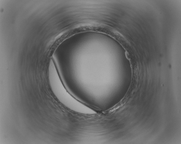 X0000068320822200605192031