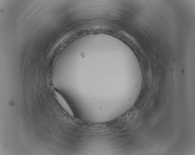 X0000068320823200605192031