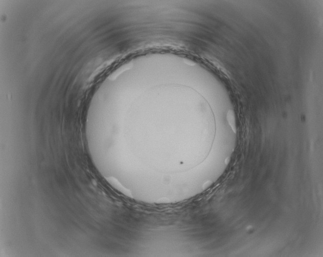 X0000068320824200605192031