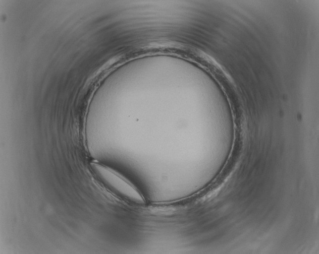 X0000068320825200605192031