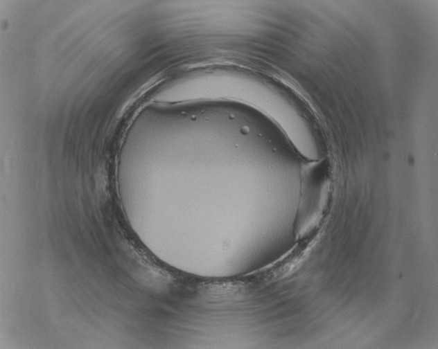 X0000068320826200605192031