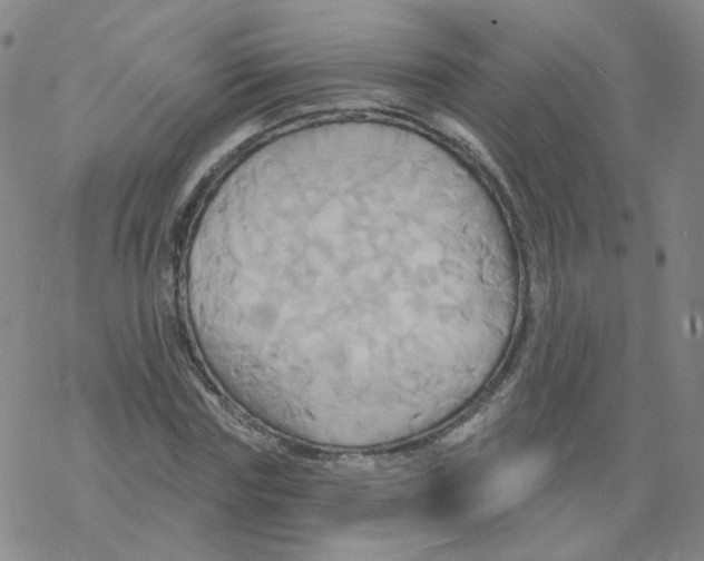 X0000068320827200605192031