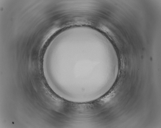 X0000068320828200605192031