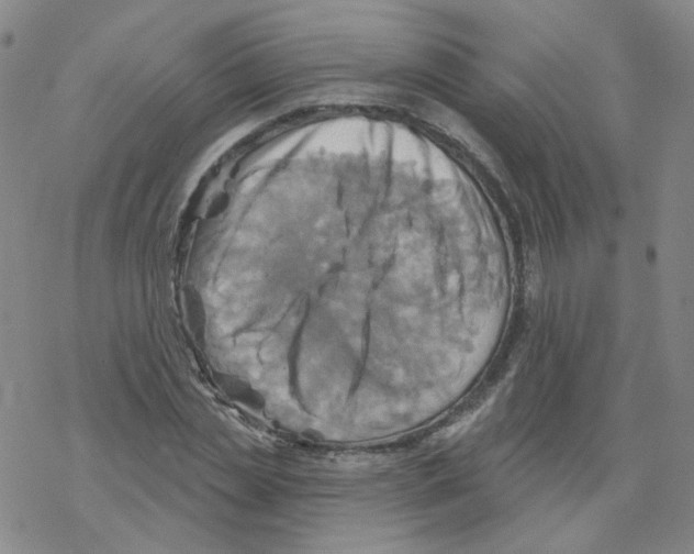 X0000068320829200605192031