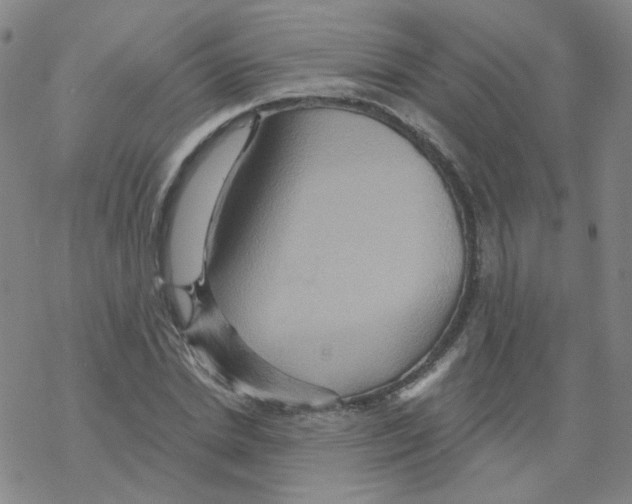 X0000068320830200605192031