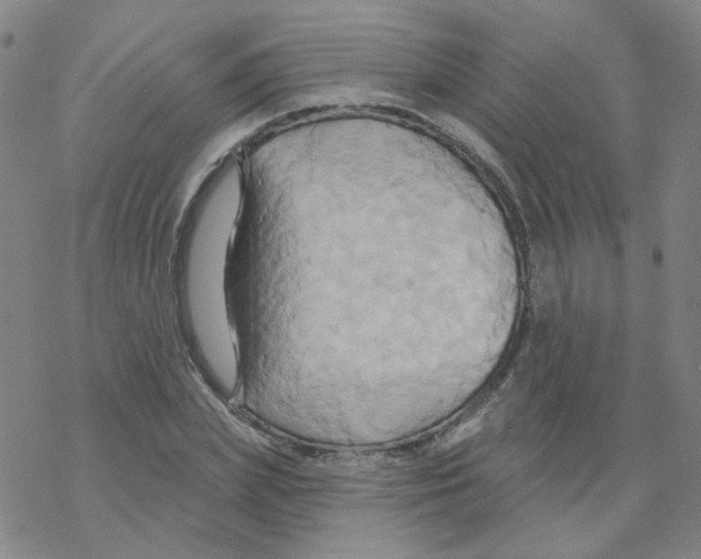 X0000068320831200605192031