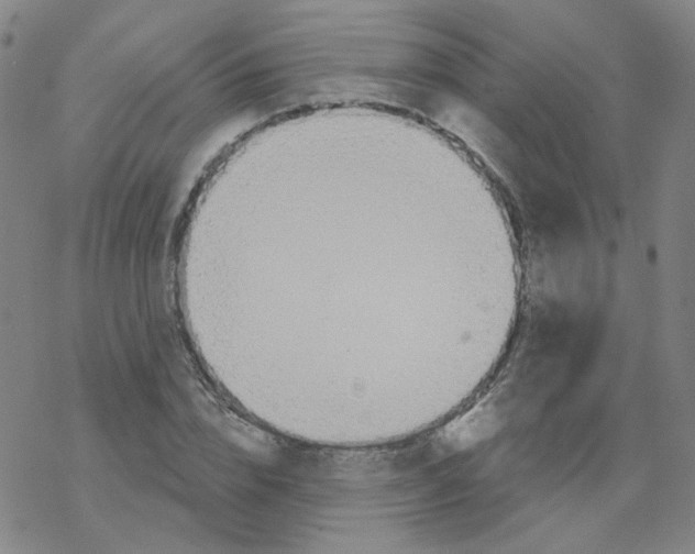 X0000068320832200605192031