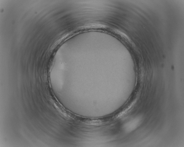 X0000068320833200605192031