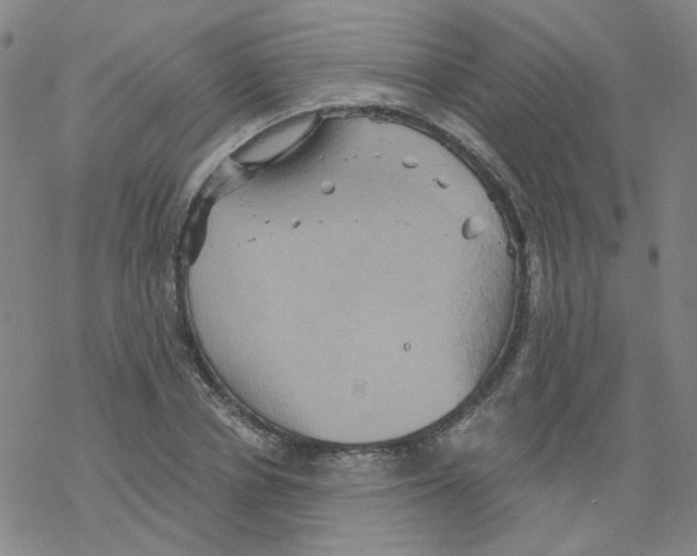 X0000068320834200605192031