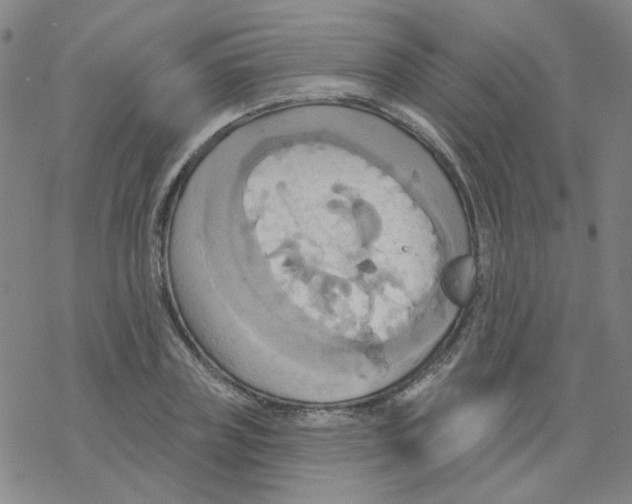 X0000068320835200605192031