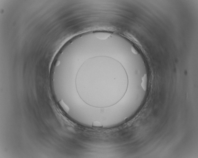 X0000068320836200605192031