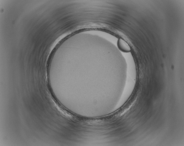 X0000068320837200605192031