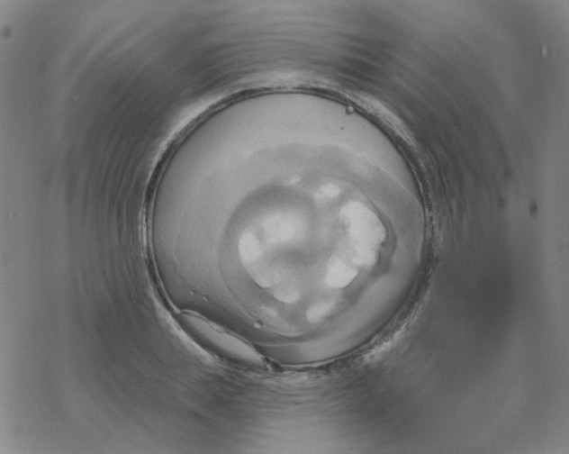 X0000068320839200605192031