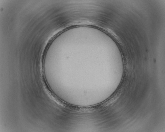 X0000068320840200605192031