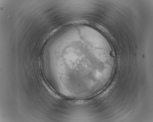 X0000068320841200605192031