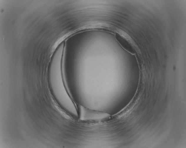 X0000068320842200605192031