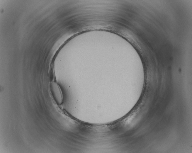 X0000068320844200605192031