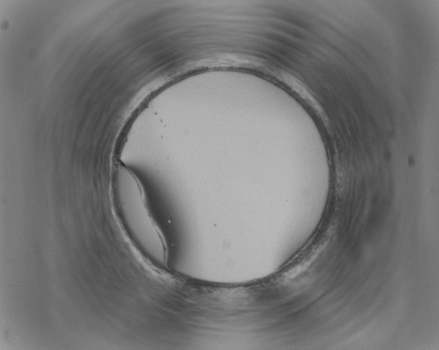 X0000068320845200605192031