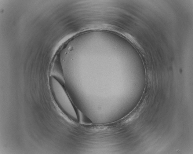 X0000068320846200605192031