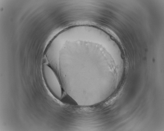 X0000068320847200605192031