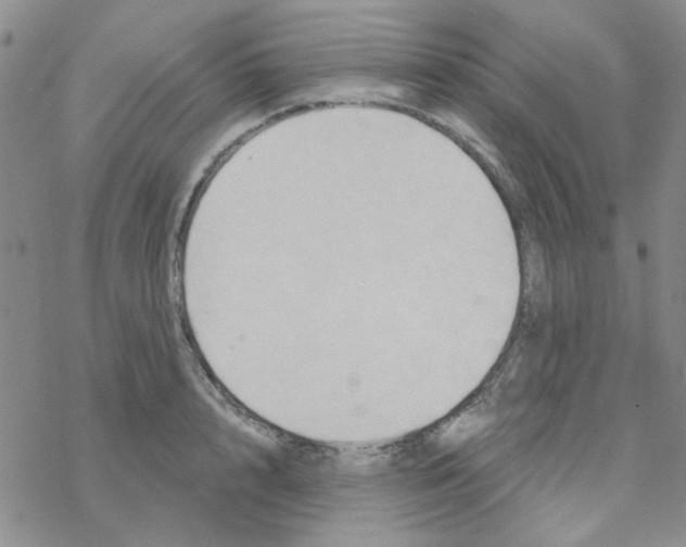 X0000068320848200605192031