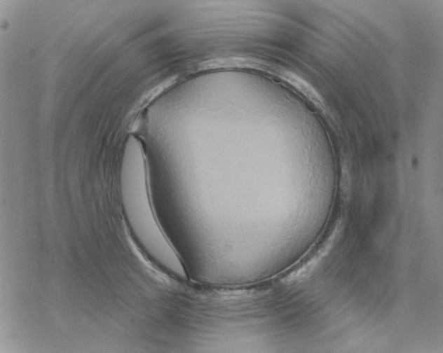 X0000068320849200605192031