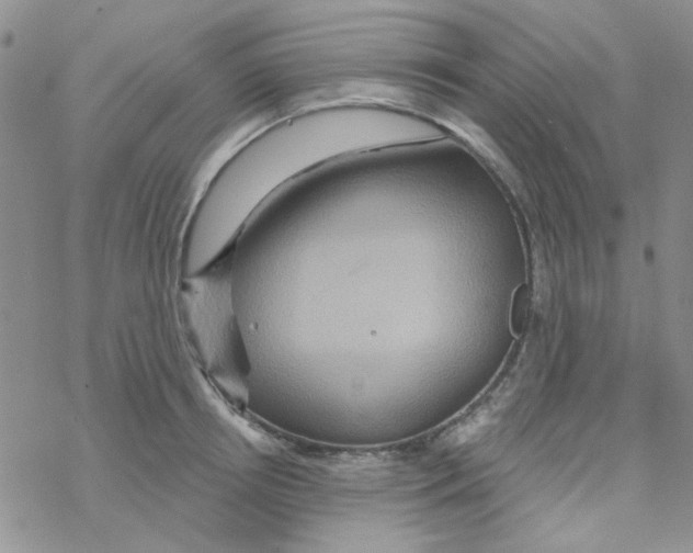 X0000068320850200605192031