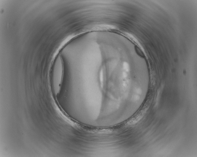 X0000068320851200605192031