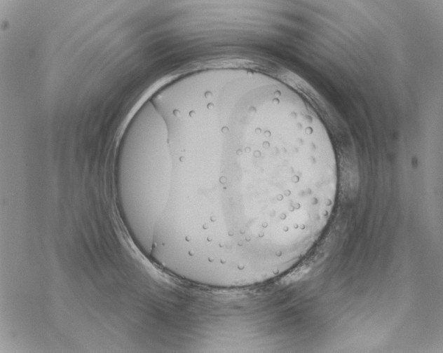 X0000068320852200605192031