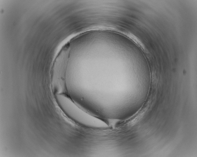 X0000068320854200605192031