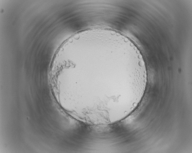 X0000068320856200605192031