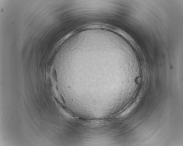 X0000068320857200605192031