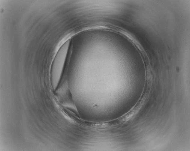 X0000068320858200605192031