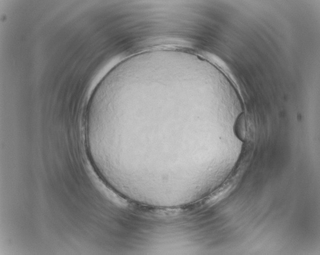 X0000068320859200605192031