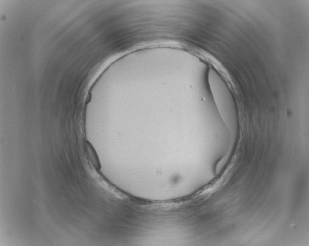 X0000068320860200605192031