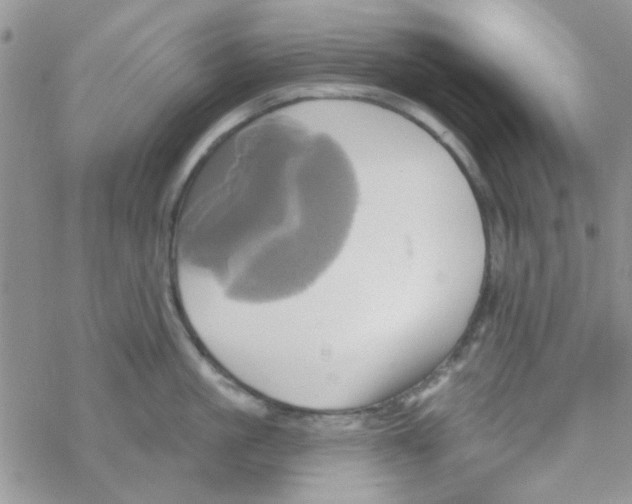 X0000068320861200605192031