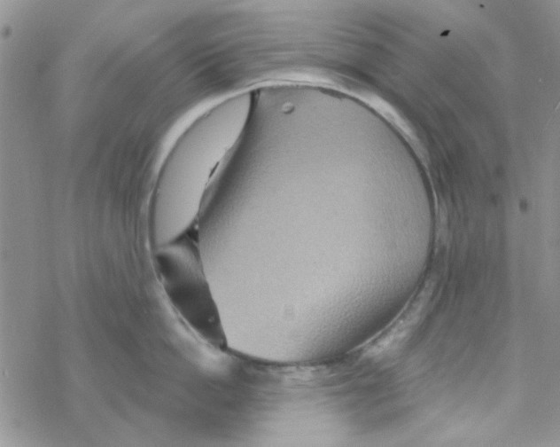 X0000068320862200605192031