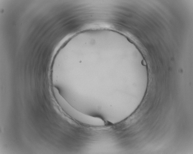 X0000068320864200605192031