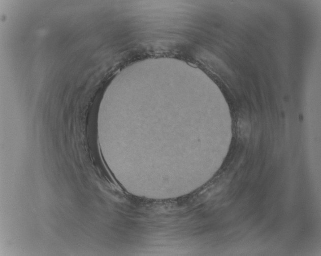 X0000068320865200605192031