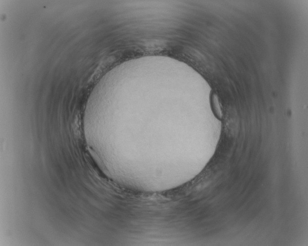 X0000068320866200605192031