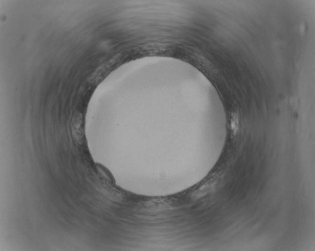 X0000068320867200605192031