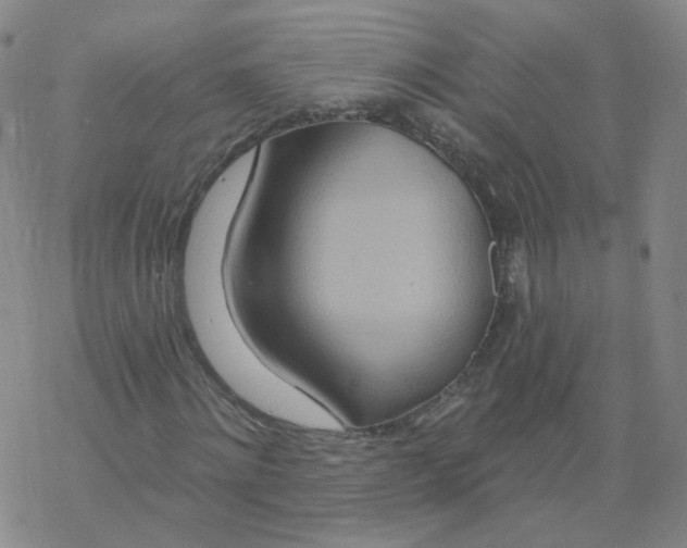 X0000068320868200605192031