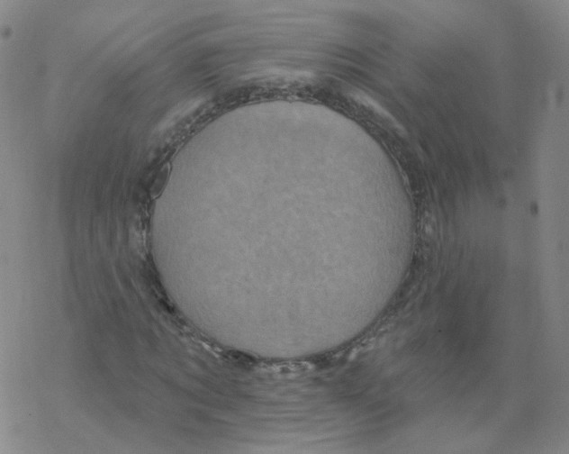 X0000068320869200605192030